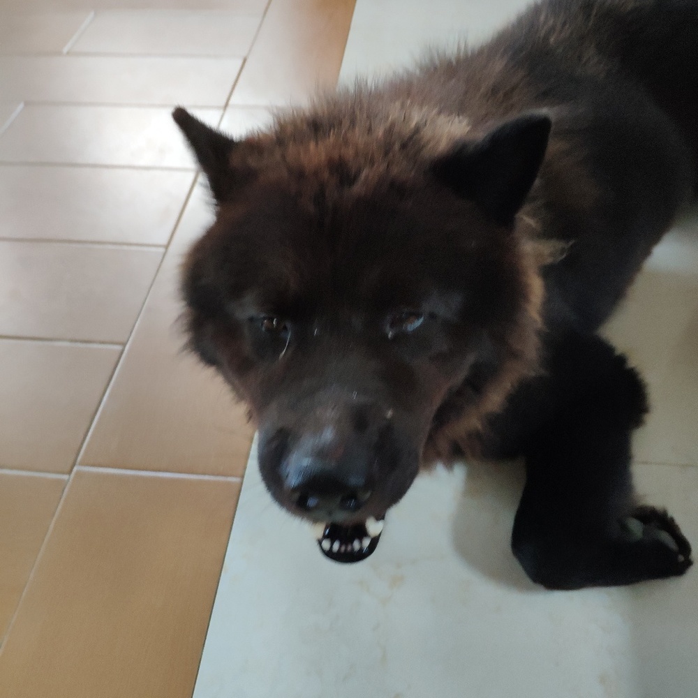 Meet your Posher, Minnie